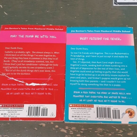 10 paperback books. Dear Dumb Diary, & Rainbow Magic. - Picture 5 of 12